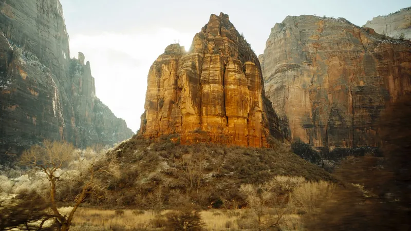 Sunlit sandstone cliffs in Zion National Park