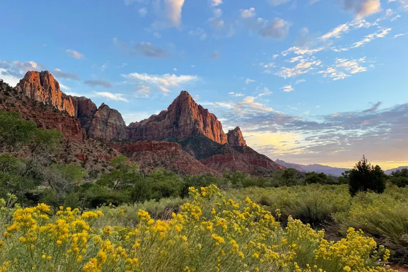 The Watchman above Zion Canyon foliage — NPS photograph