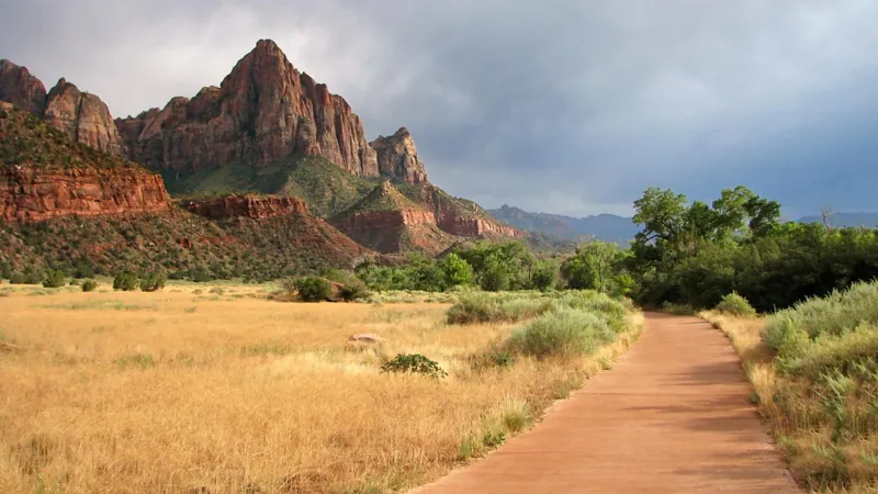 The paved Pa'rus Trail crosses a grassy meadow below the Watchman.